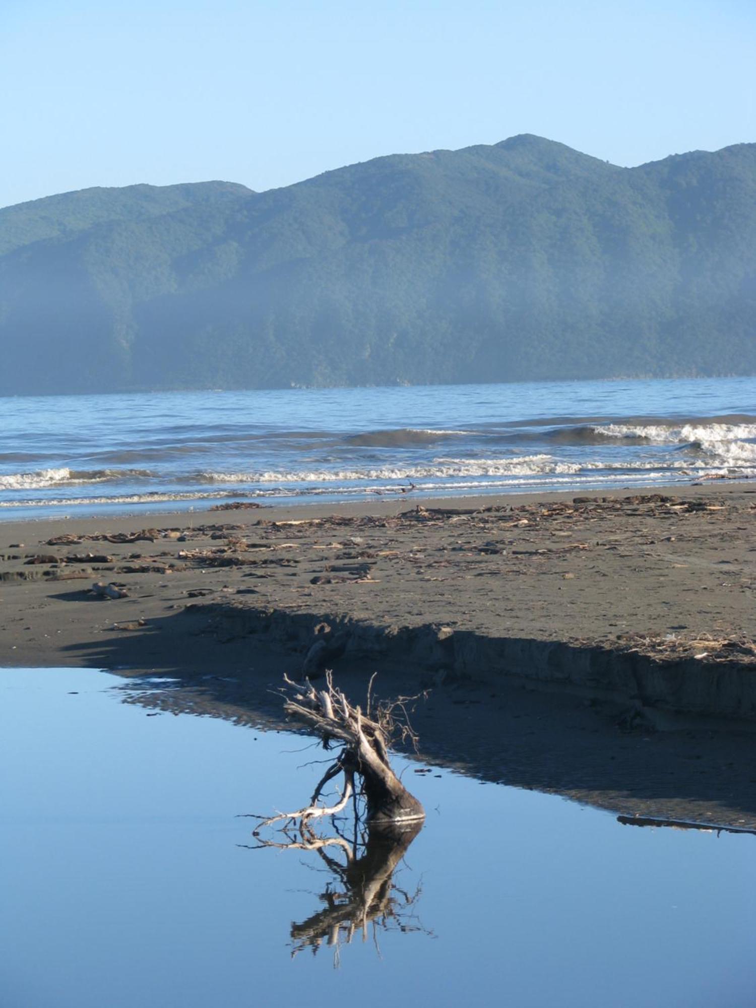 Top Floor Bed And Breakfast Paraparaumu Bagian luar foto
